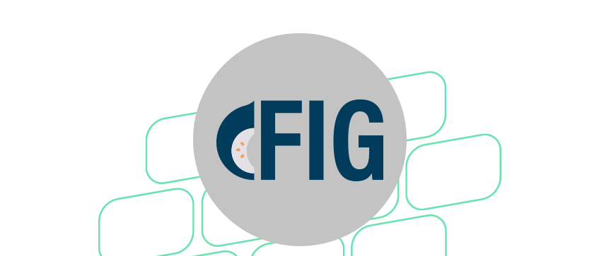 FIG Real Estate
