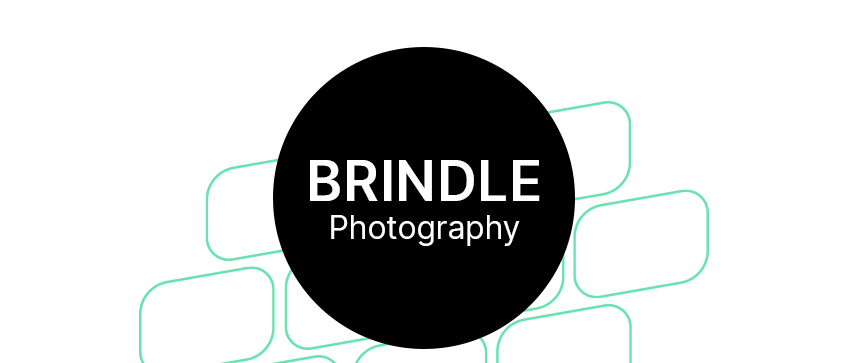 Brindle Photography